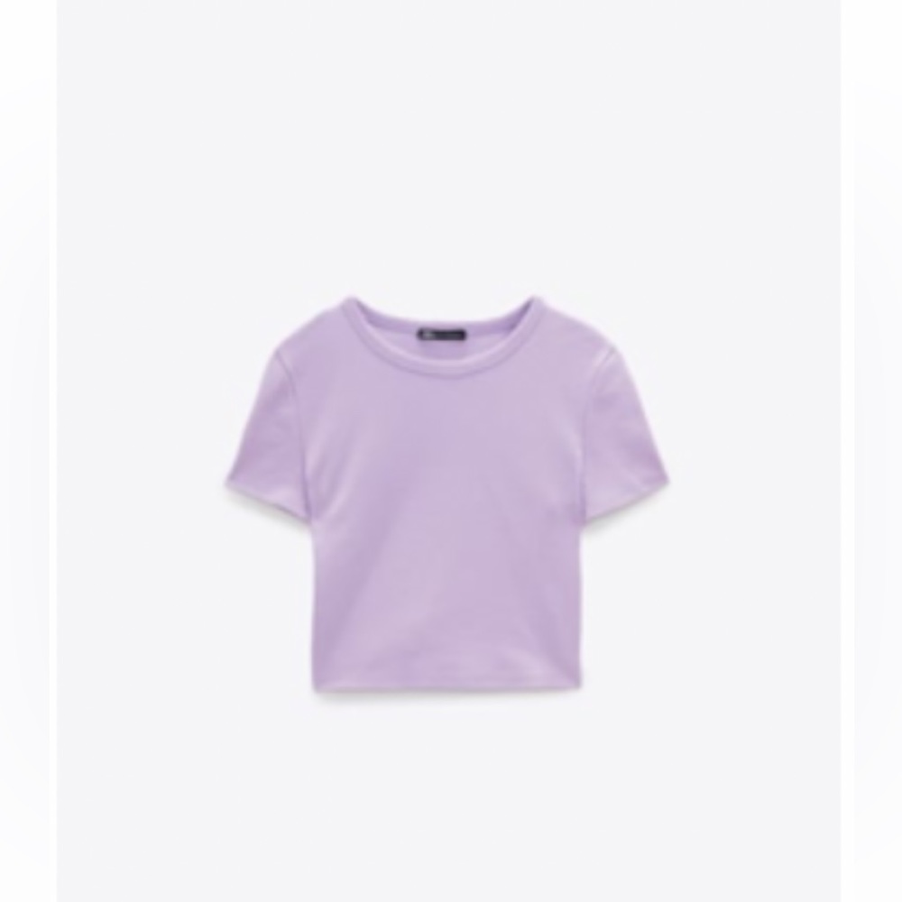 Zara crop top